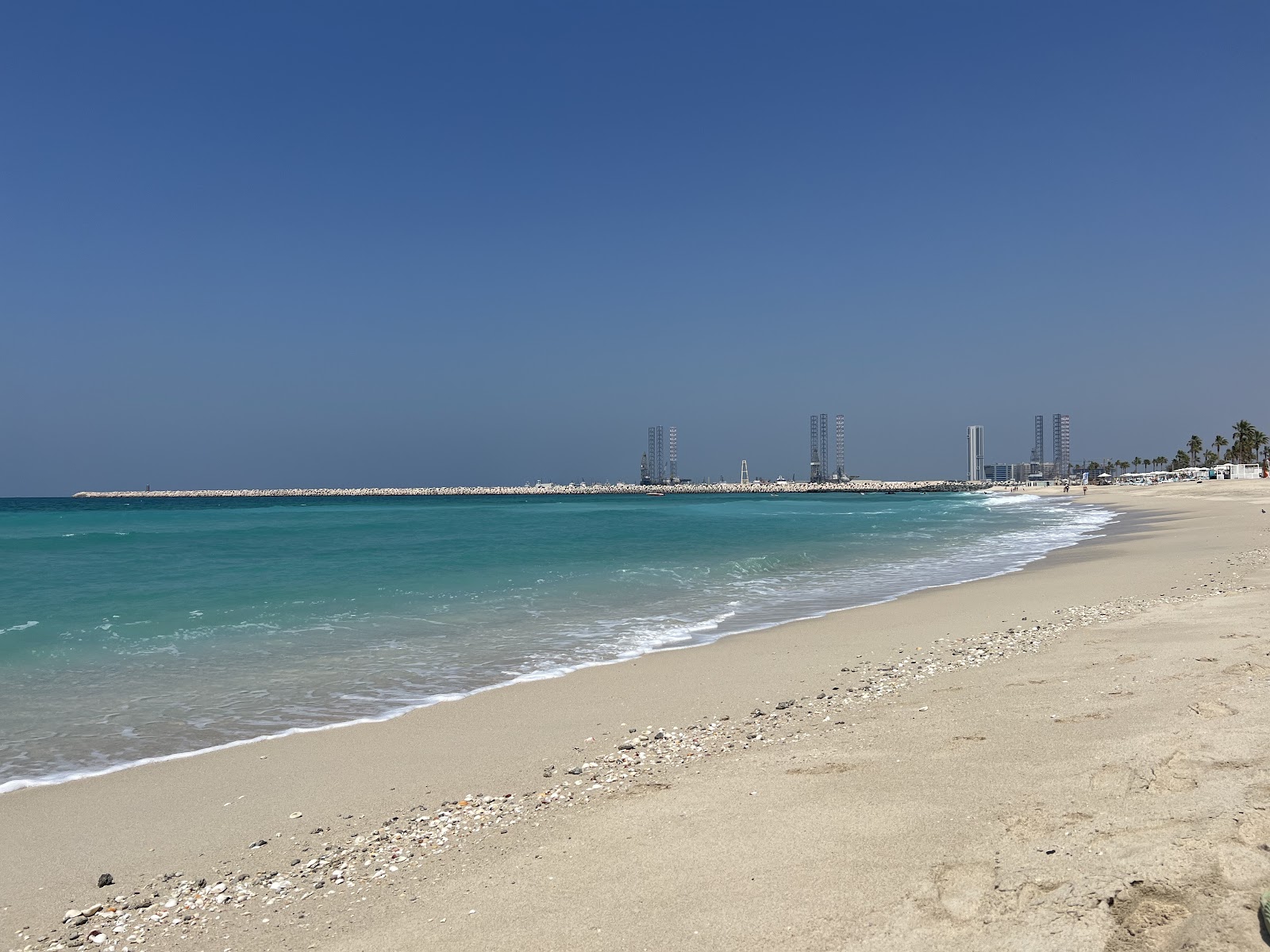 1 OAK Beach Dubai — tropical beach with palm trees and turquoise water at Pearl Jumeirah