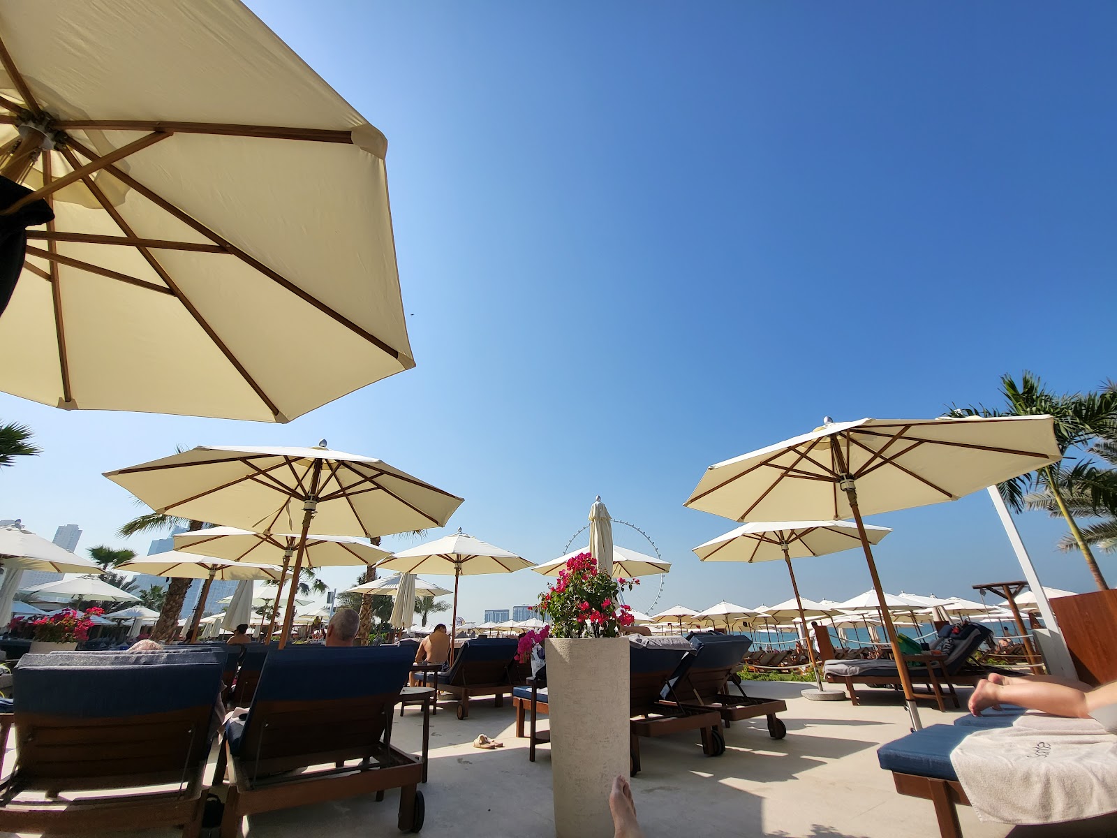 Best Beach Club Views in Dubai 2026: Burj Al Arab, Marina & Palm