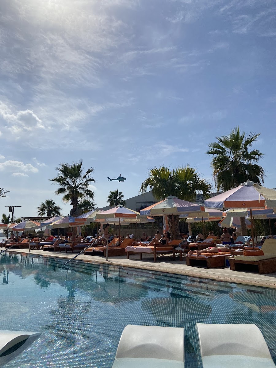 Casablanca-Branded Parasols
