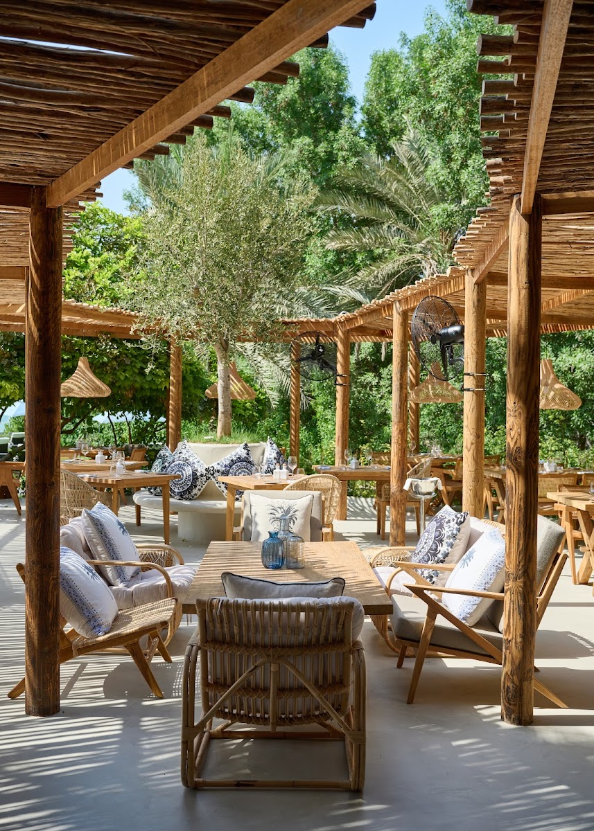 Mare by Bussola at Westin Mina Seyahi Dubai — toes-in-sand Italian beach restaurant on private beach