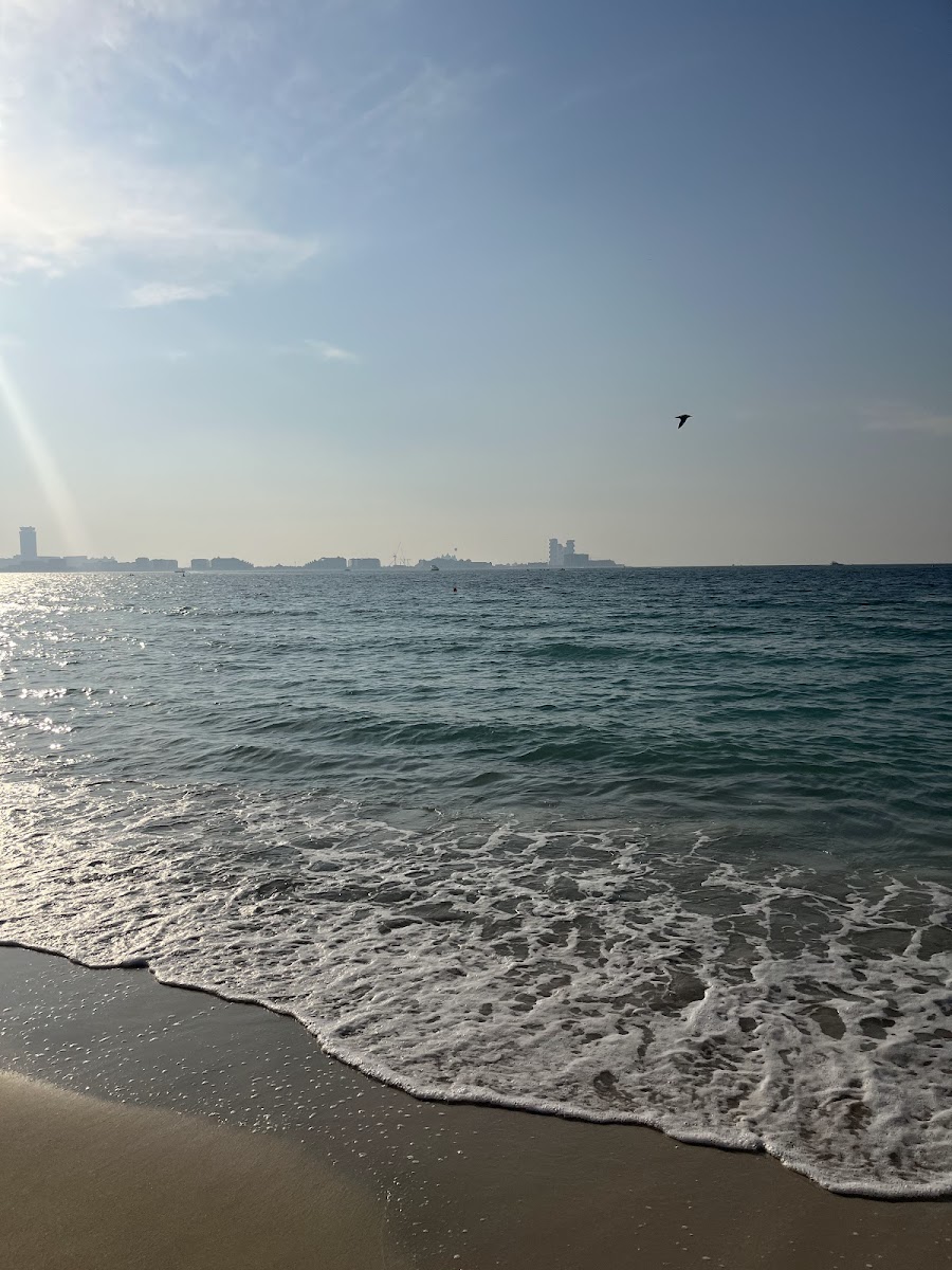 Summersalt — Golden Hour Burj Al Arab Vista