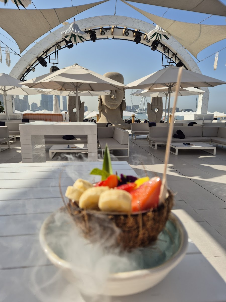 Zero Gravity Dubai beach club pool with palm trees and Dubai Marina skyline